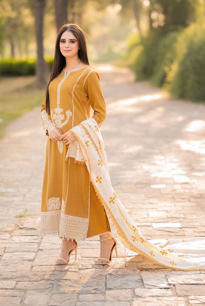 3PC EMBROIDERED LAWN SUIT AA-2