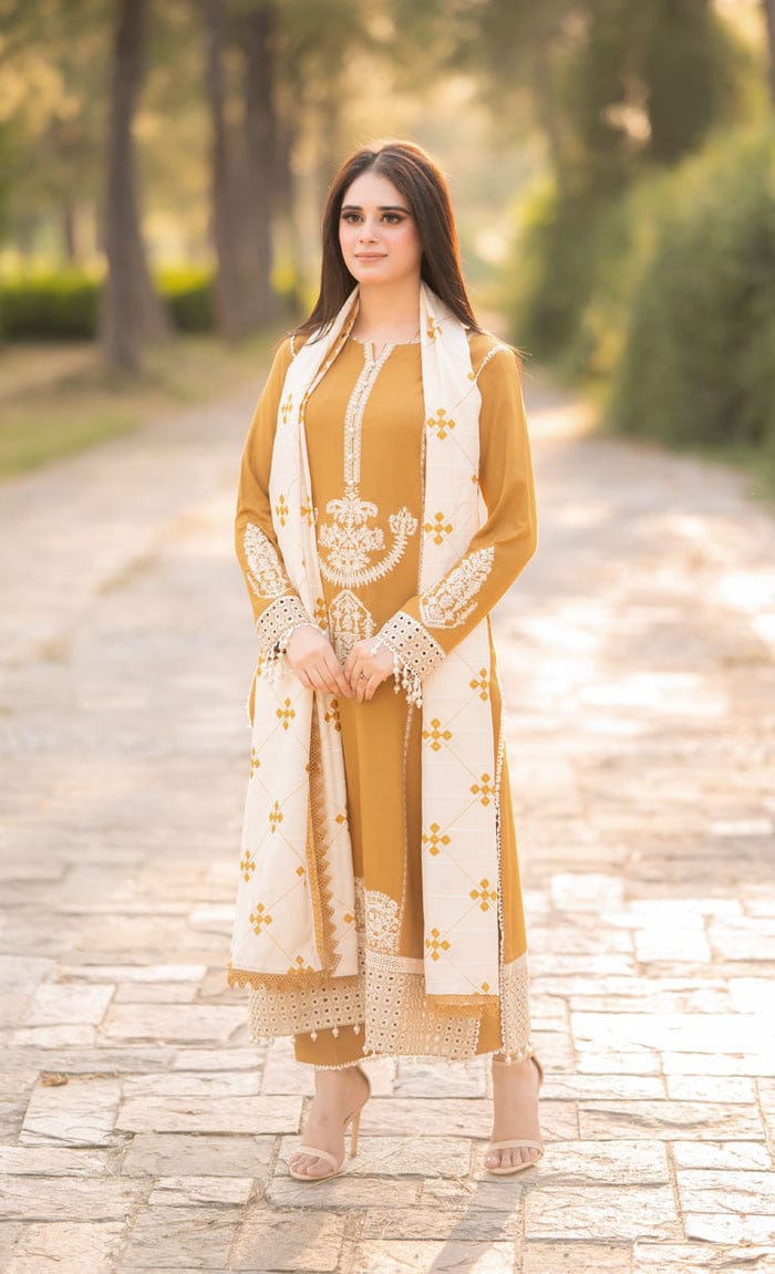 3PC EMBROIDERED LAWN SUIT AA-2