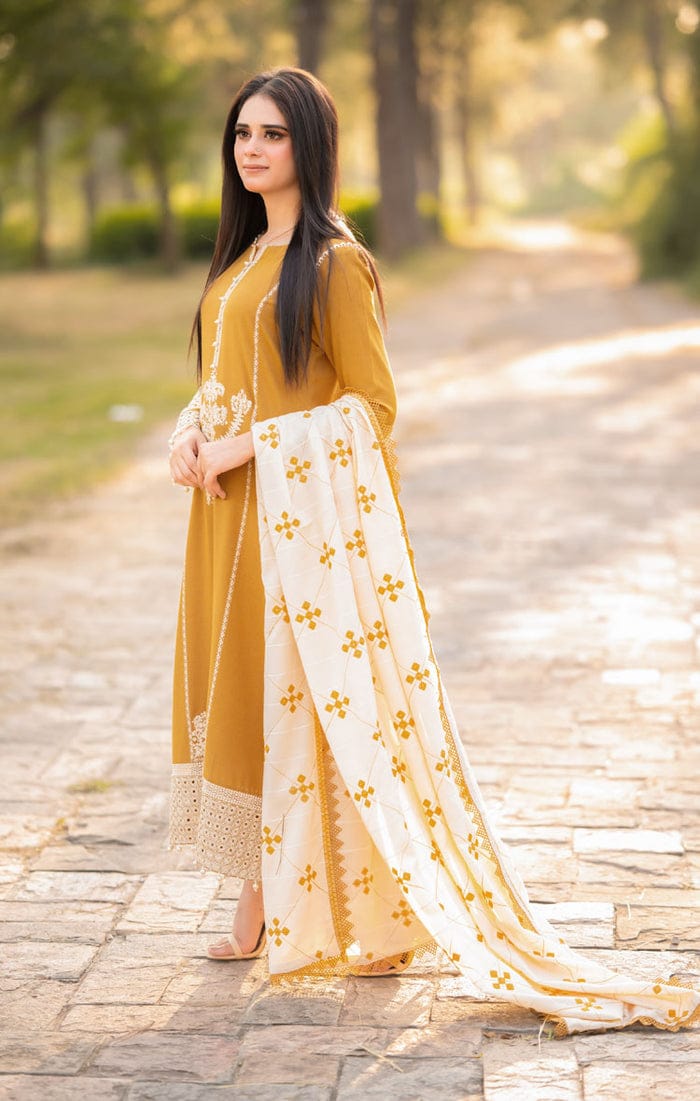3PC EMBROIDERED LAWN SUIT AA-2